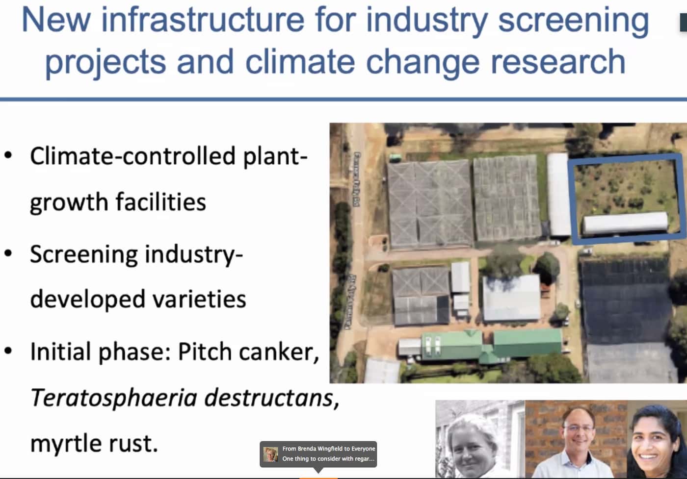 Big data, biotechnology and the future of tree health management at FABI