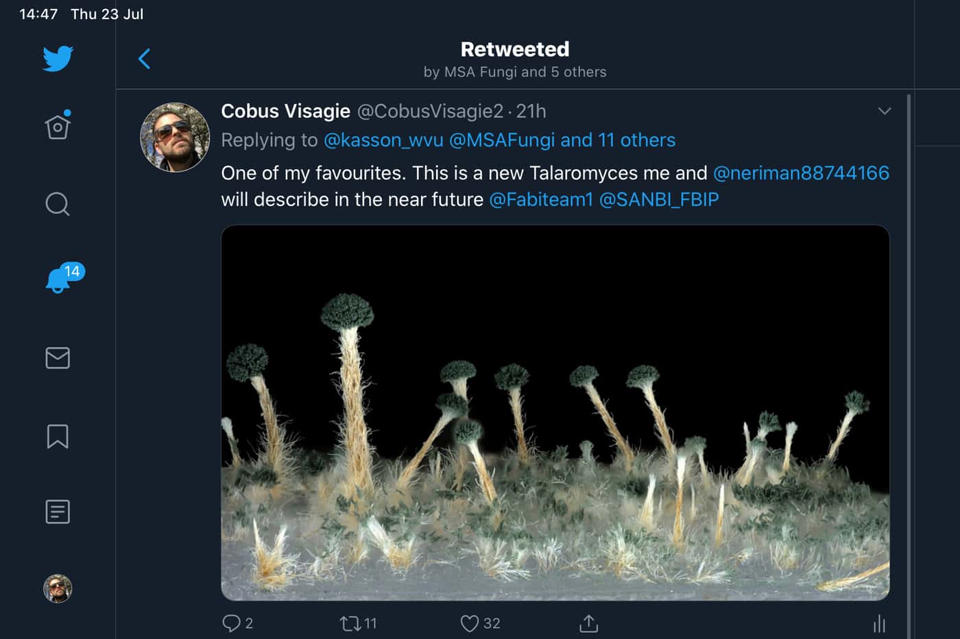FABI mycologists participate in the annual MSA meeting: Mycology in the cloud