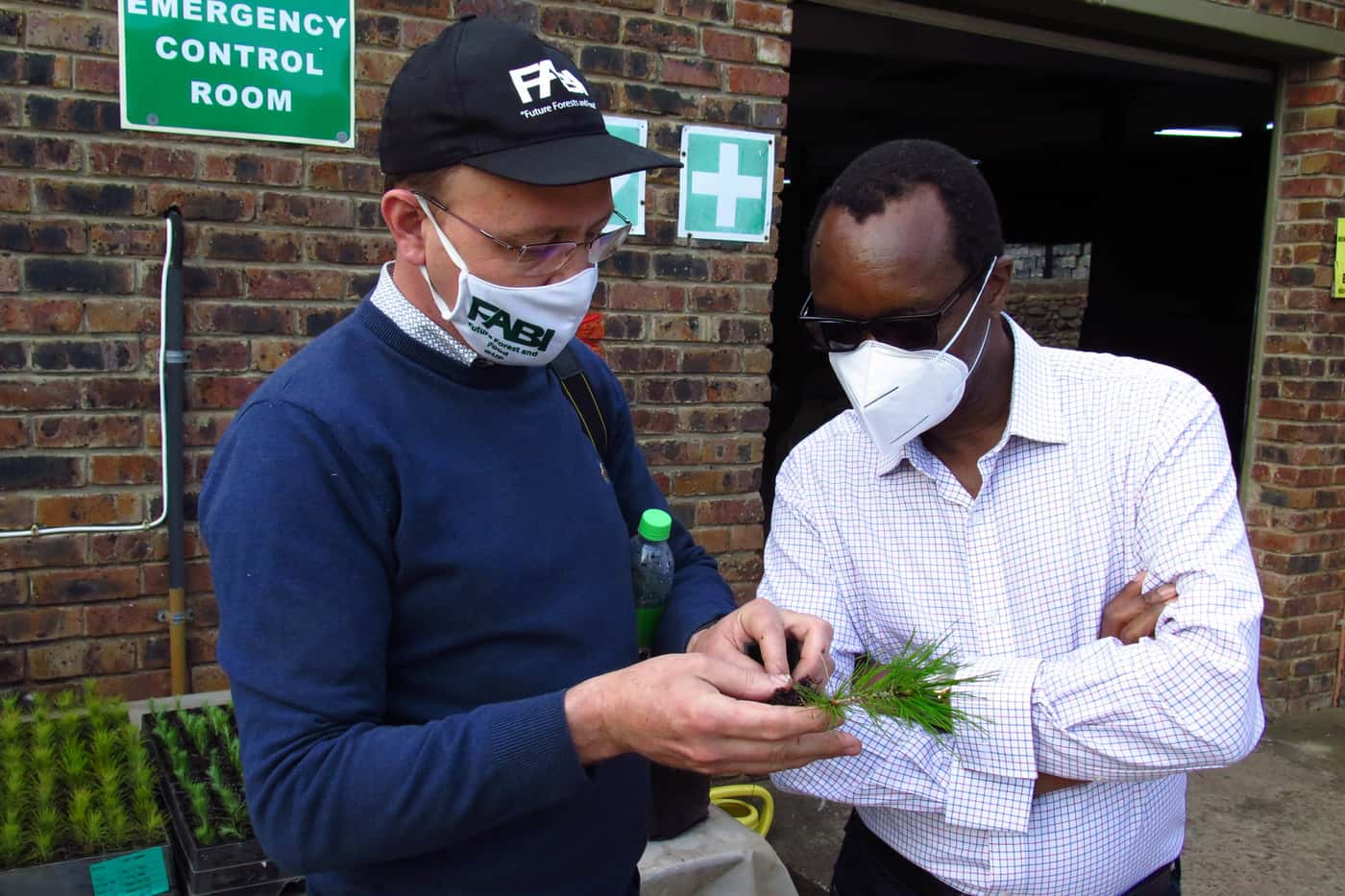 UP Vice-Chancellor visits York Timbers with FABI colleagues