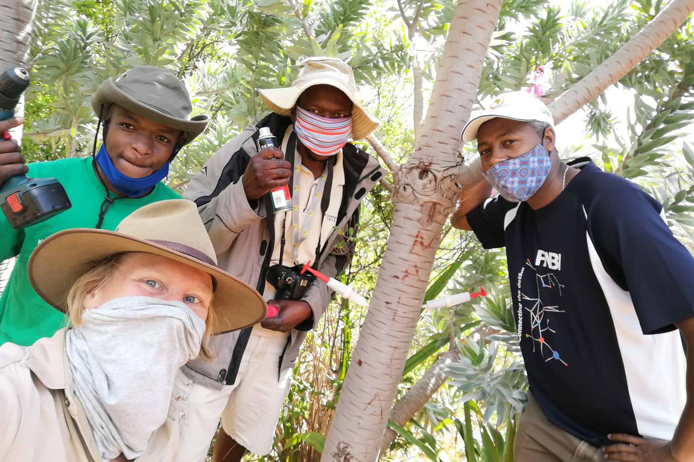 Inspection of invasive disease and pest problems in SANBI's Cape gardens