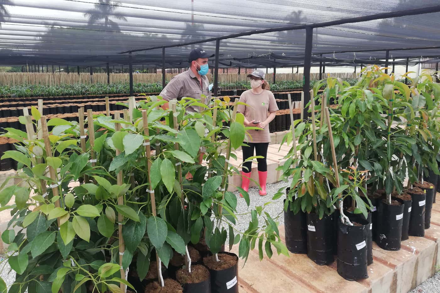 ARP team members visit Tzaneen