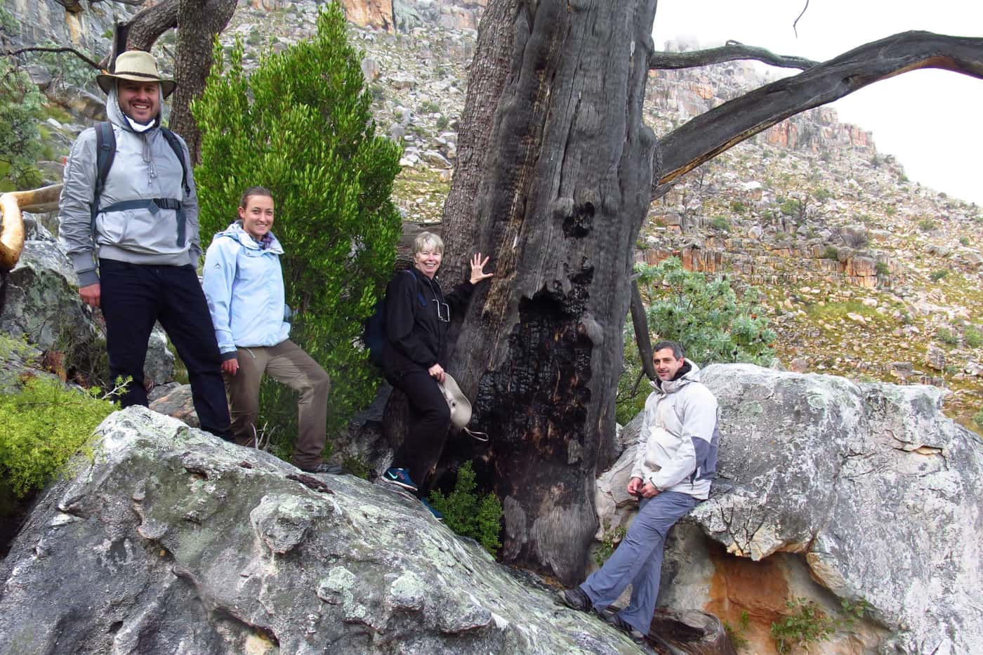 US collaborators visit FABI to plan a joint research project