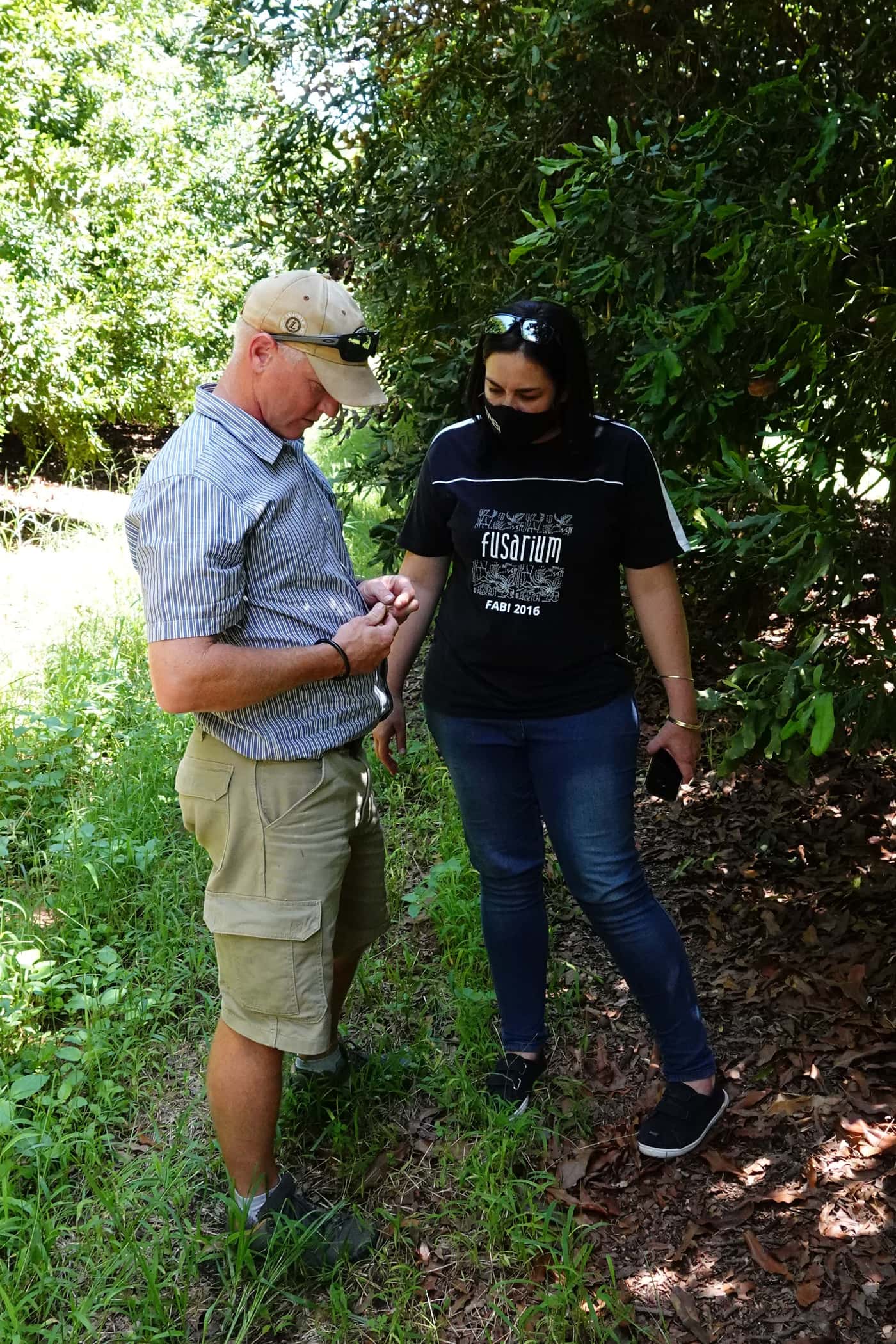 Macadamia research program’s field visit to Mpumalanga