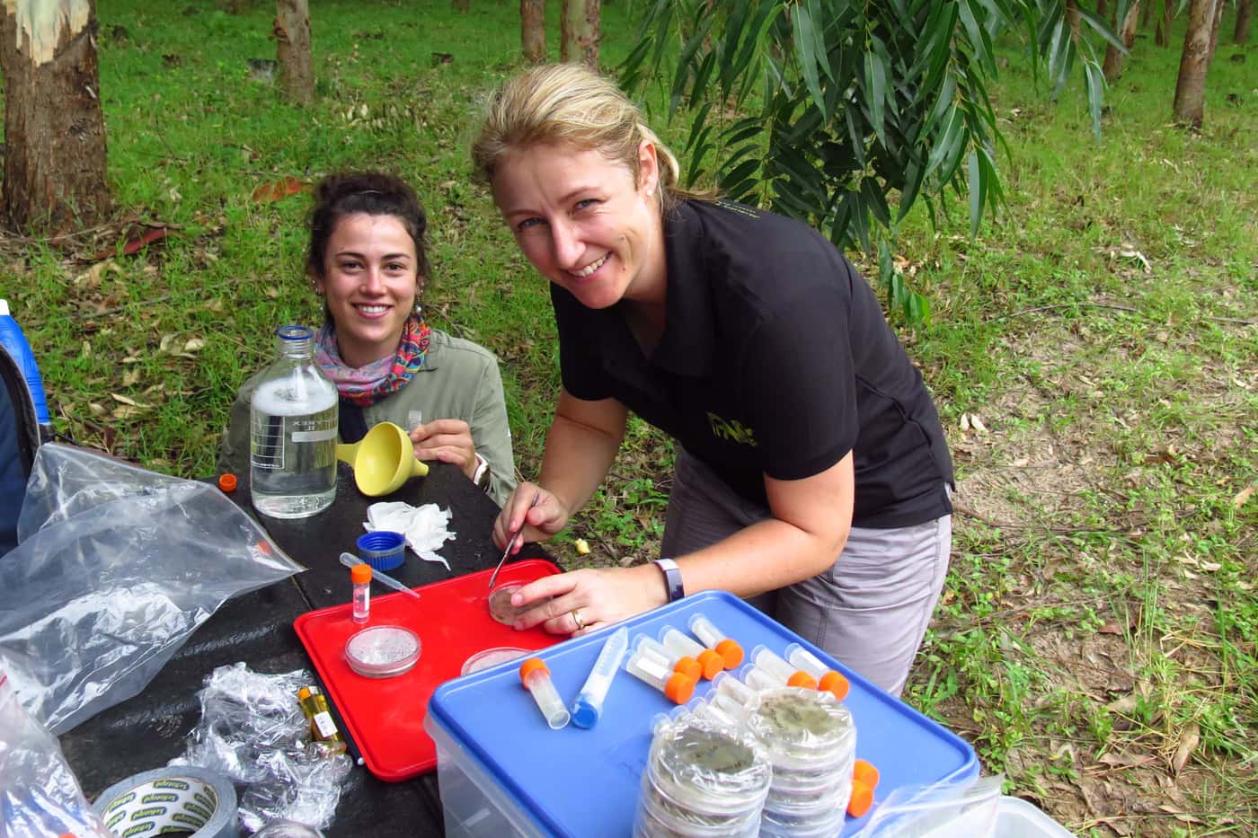 FABI researchers work with Sappi in KwaZulu-Natal