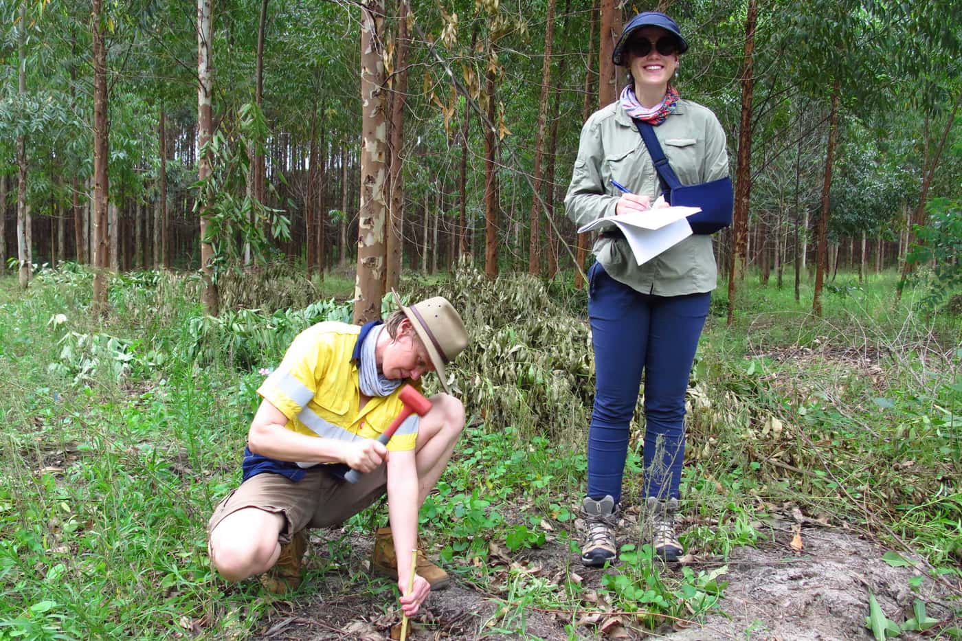 FABI researchers work with Sappi in KwaZulu-Natal