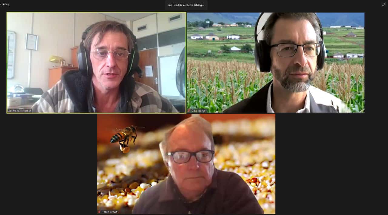 FABI researchers present at the NSTF Plant Health discussion forum