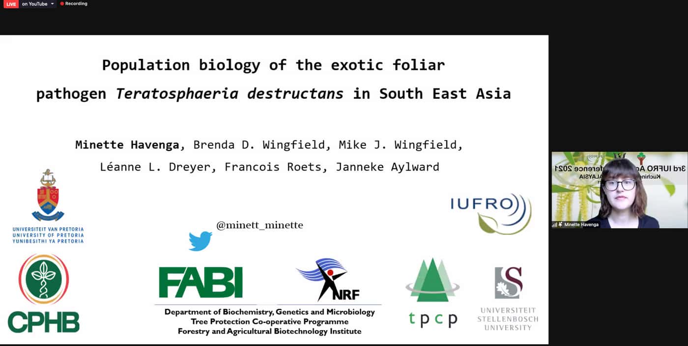 FABI researchers make an early start to present at the 3rd IUFRO <i>Acacia</i> webinar