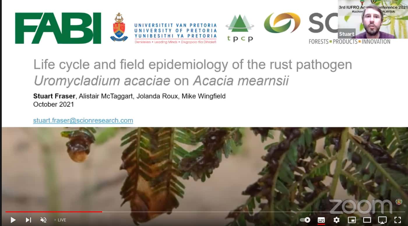 FABI researchers make an early start to present at the 3rd IUFRO <i>Acacia</i> webinar