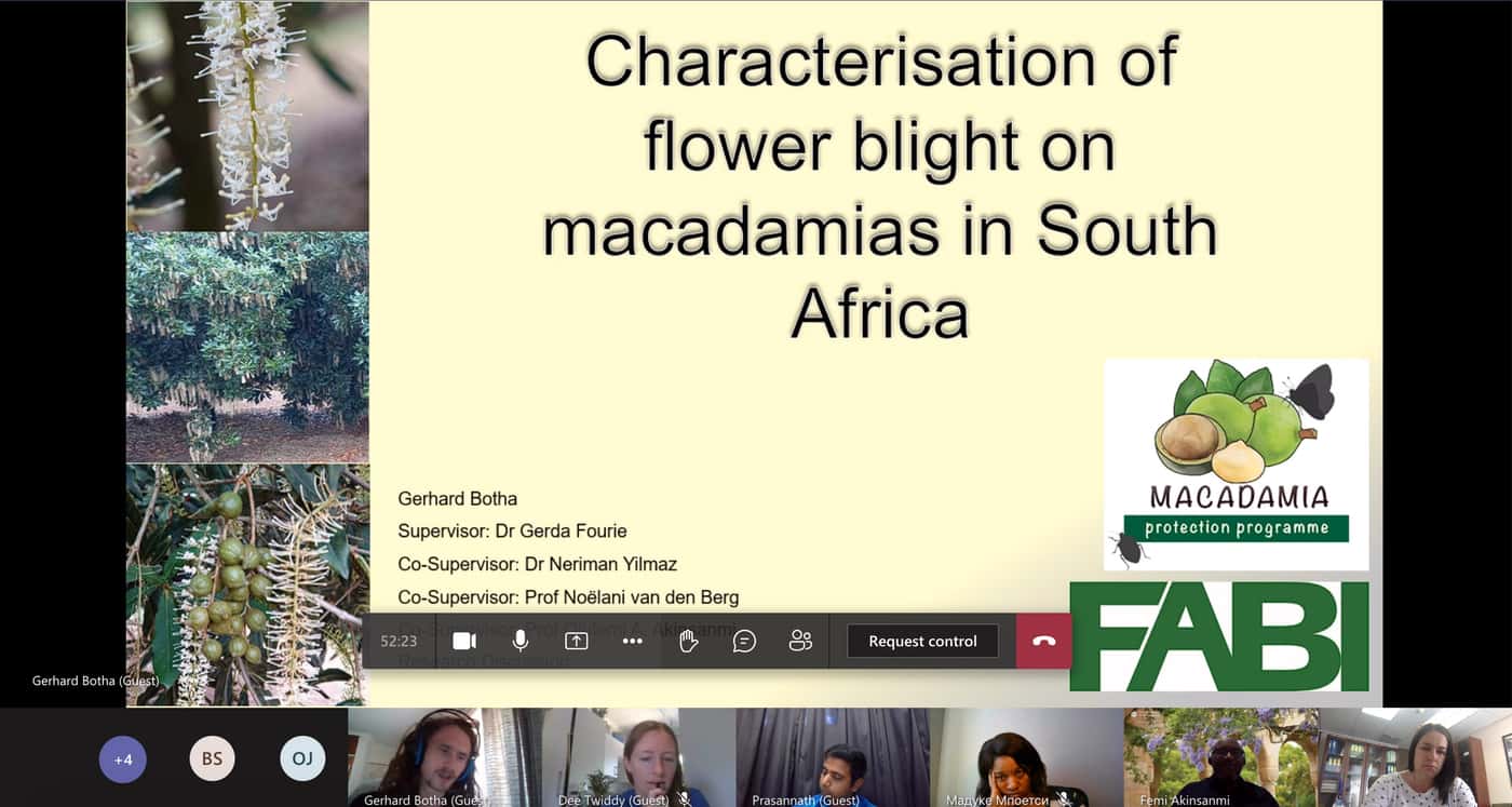 Researchers from FABI and UQ strengthen collaboration with regular online meetings