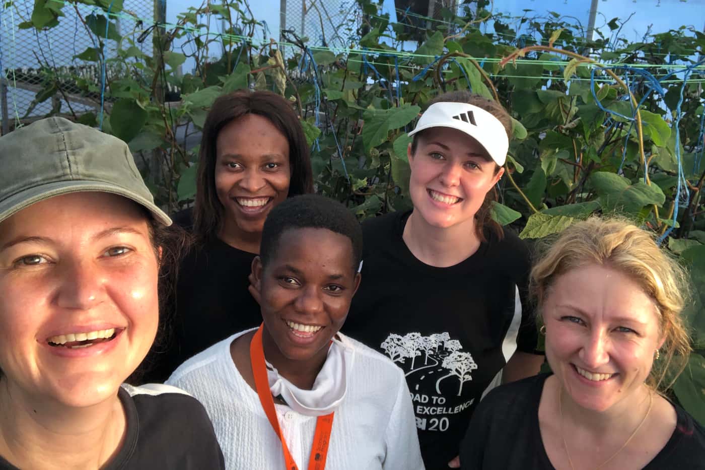 In pursuit of tolerance to Ceratocystis wilt on Kiwi