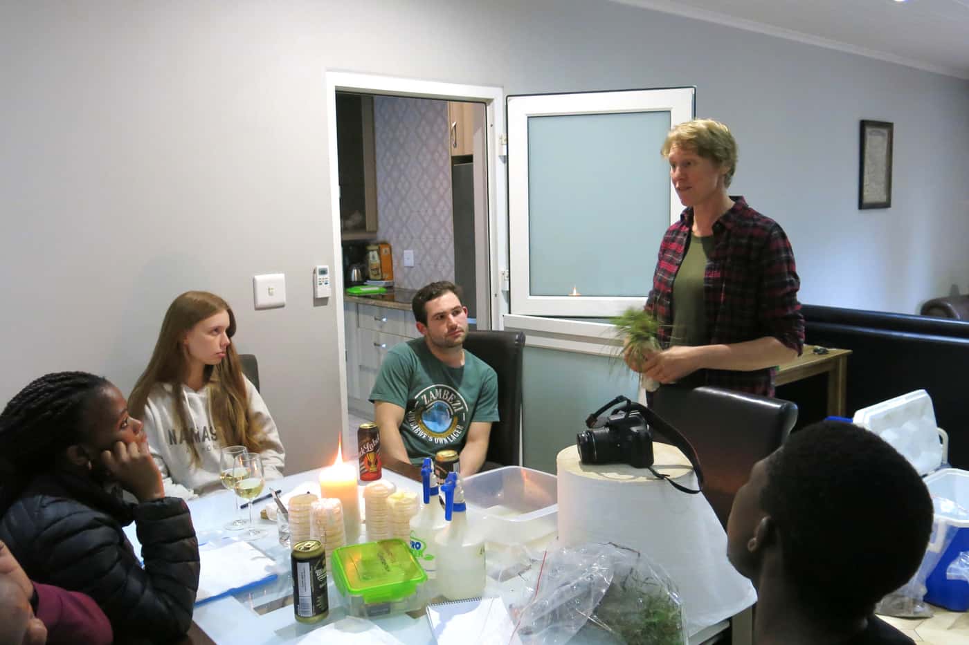 Combined TPCP diagnostic clinic and field extension trip