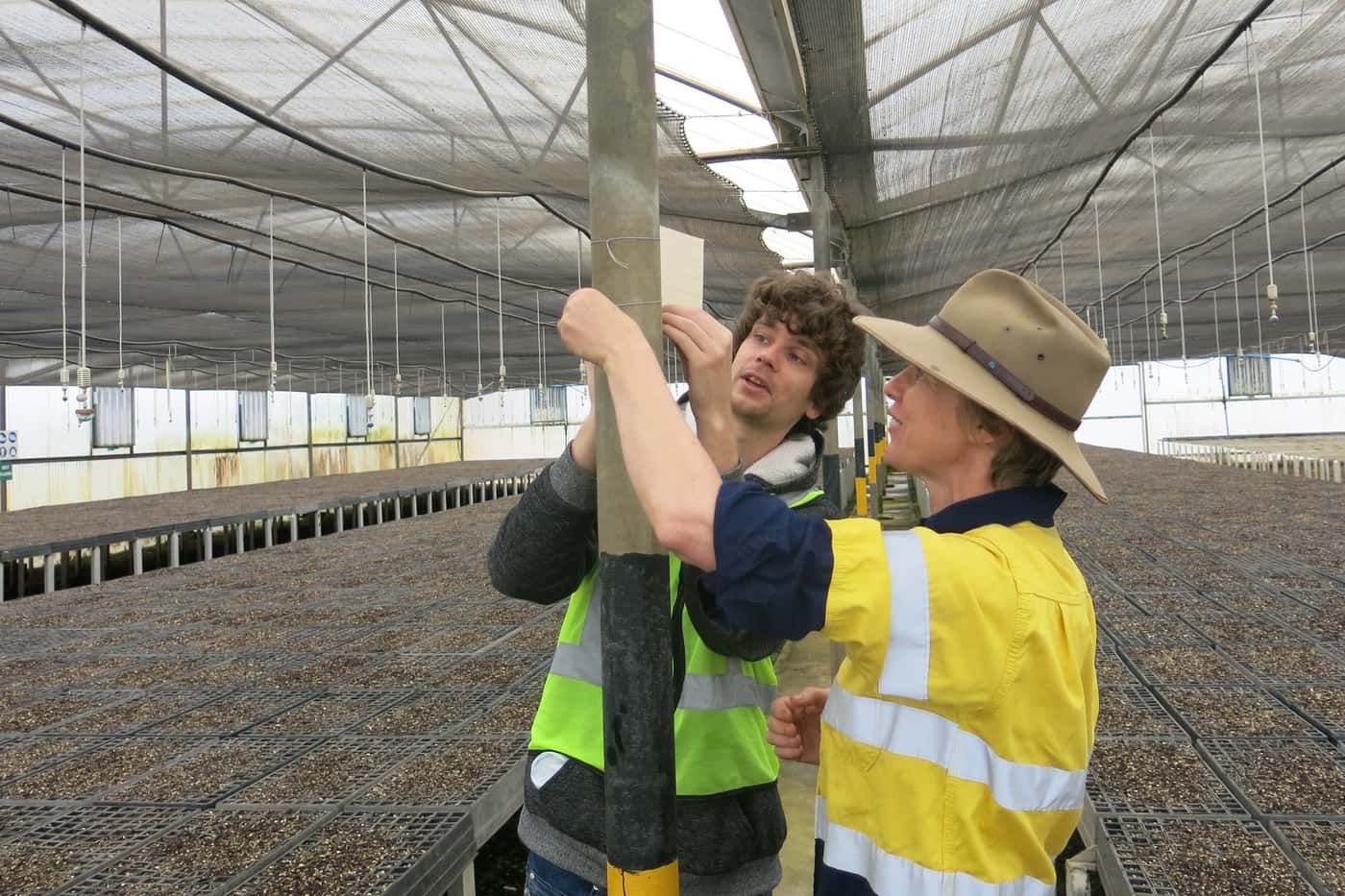 Combined TPCP diagnostic clinic and field extension trip