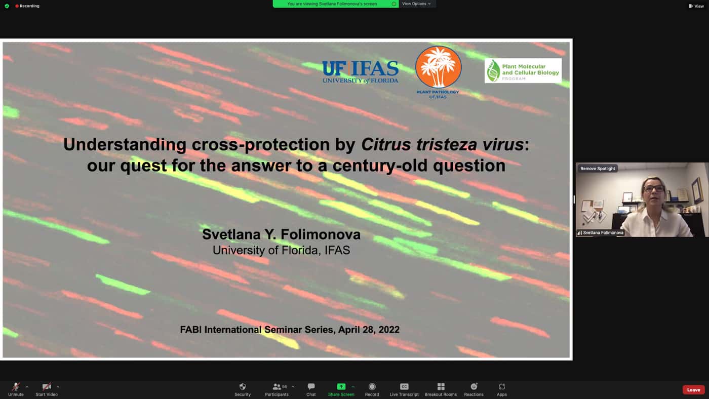 The most destructive citrus pathogen highlighted in the FABI International Seminar Series