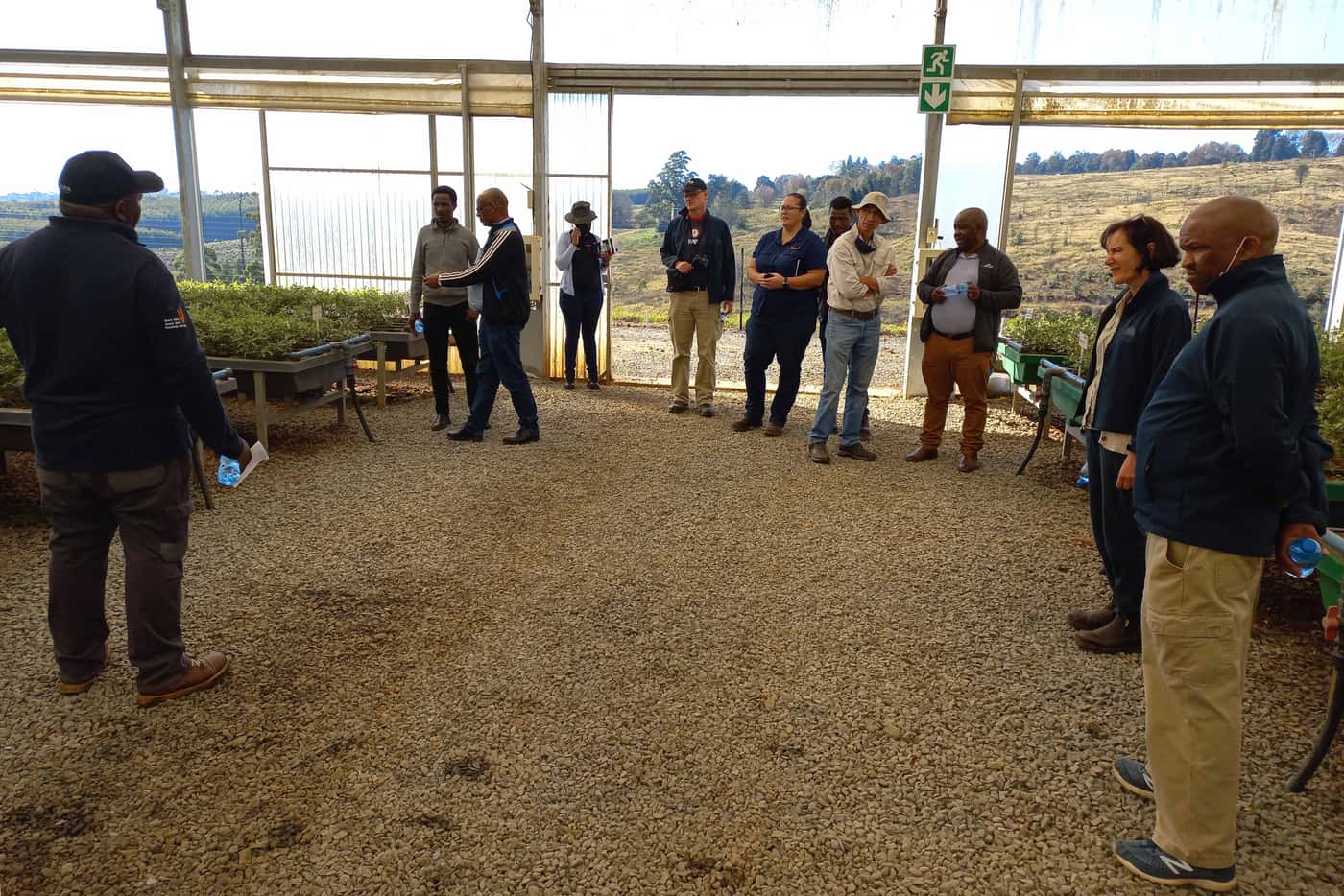 Ethiopian researchers visit FABI, ICFR and local forestry companies