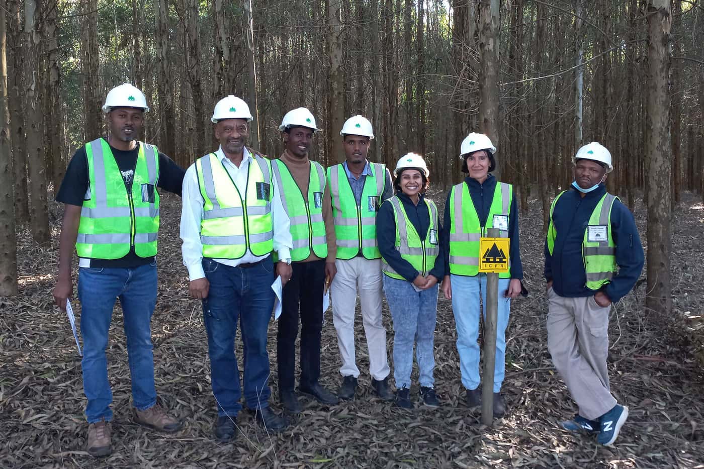 Ethiopian researchers visit FABI, ICFR and local forestry companies