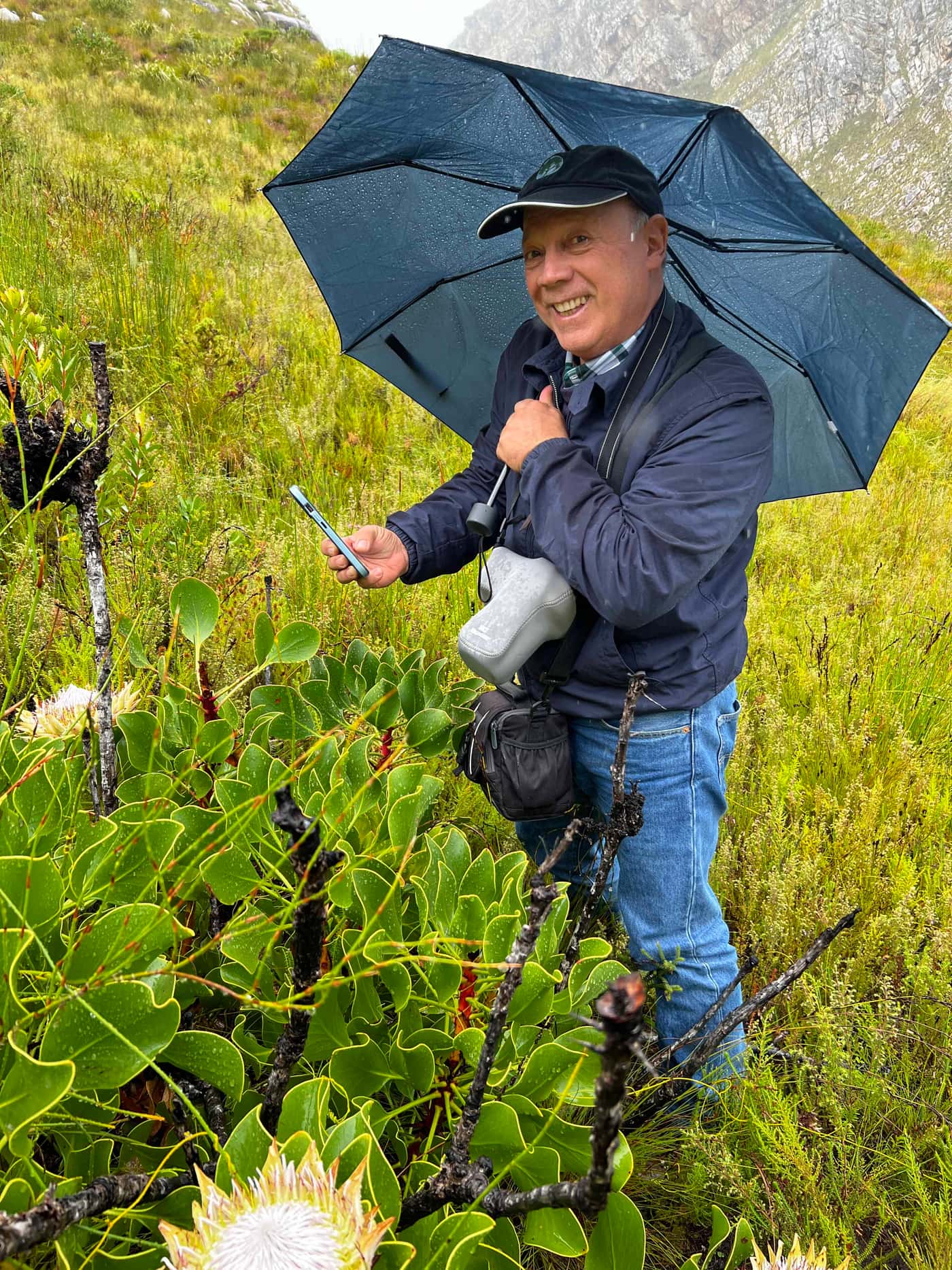Dr Carlos Rodas examines Western Cape disease problems