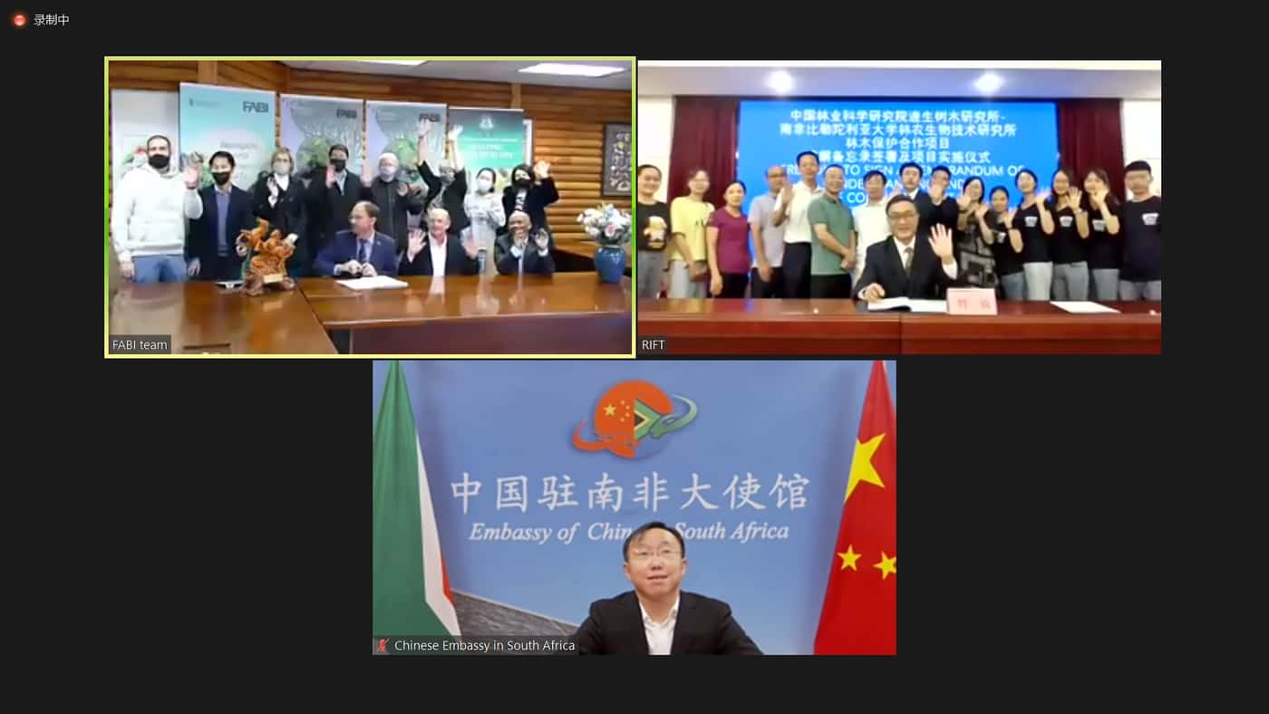 New MoU signed between FABI and Research Institute of Fast Growing Trees in China