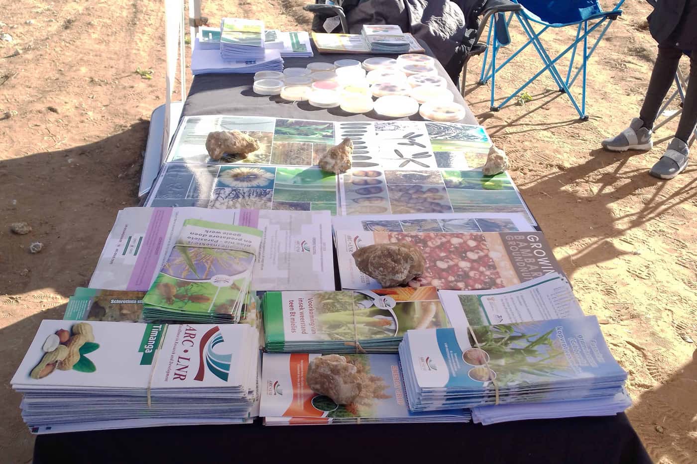 CFBE research team participates in the NAMPO Harvest Day