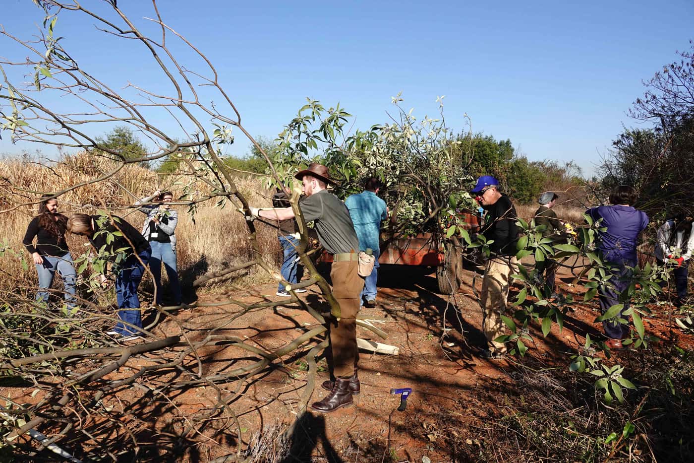 FABI celebrates Mandela Day with 67 minutes of community service to conserve biodiversity
