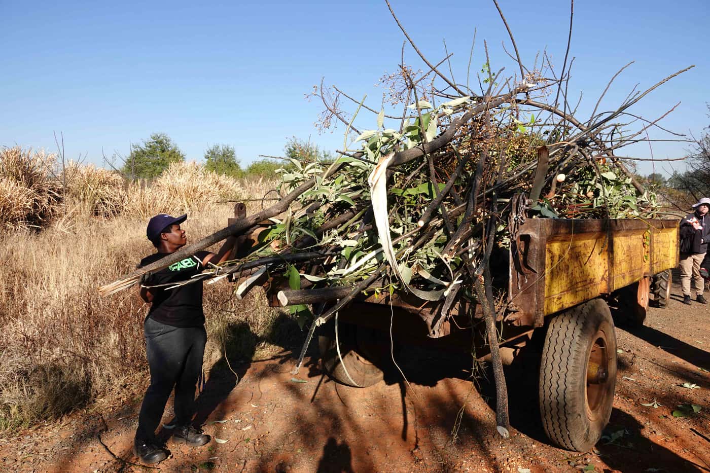 FABI celebrates Mandela Day with 67 minutes of community service to conserve biodiversity
