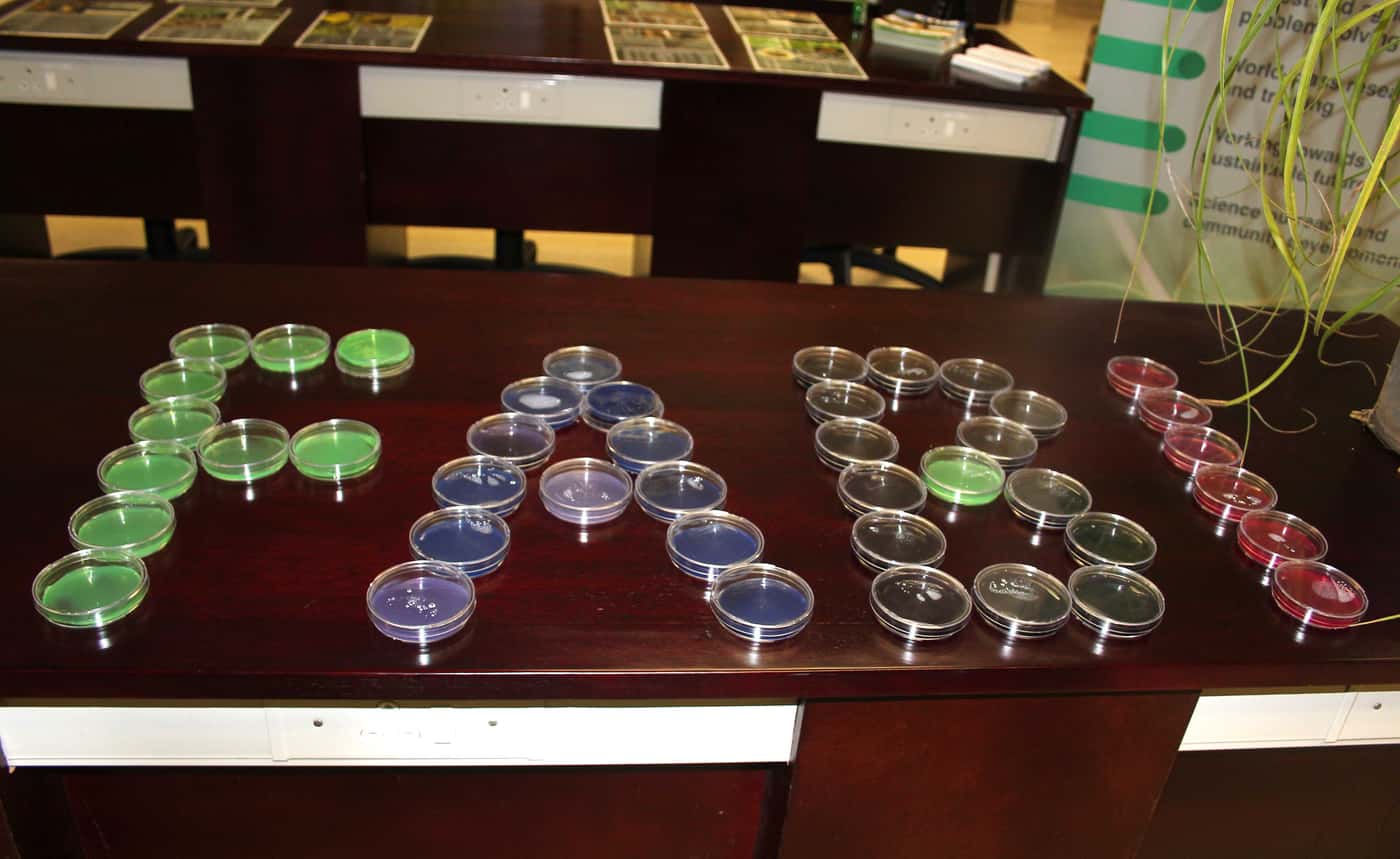 Exciting exploration at the University of Pretoria's Natural and Agricultural Sciences open day