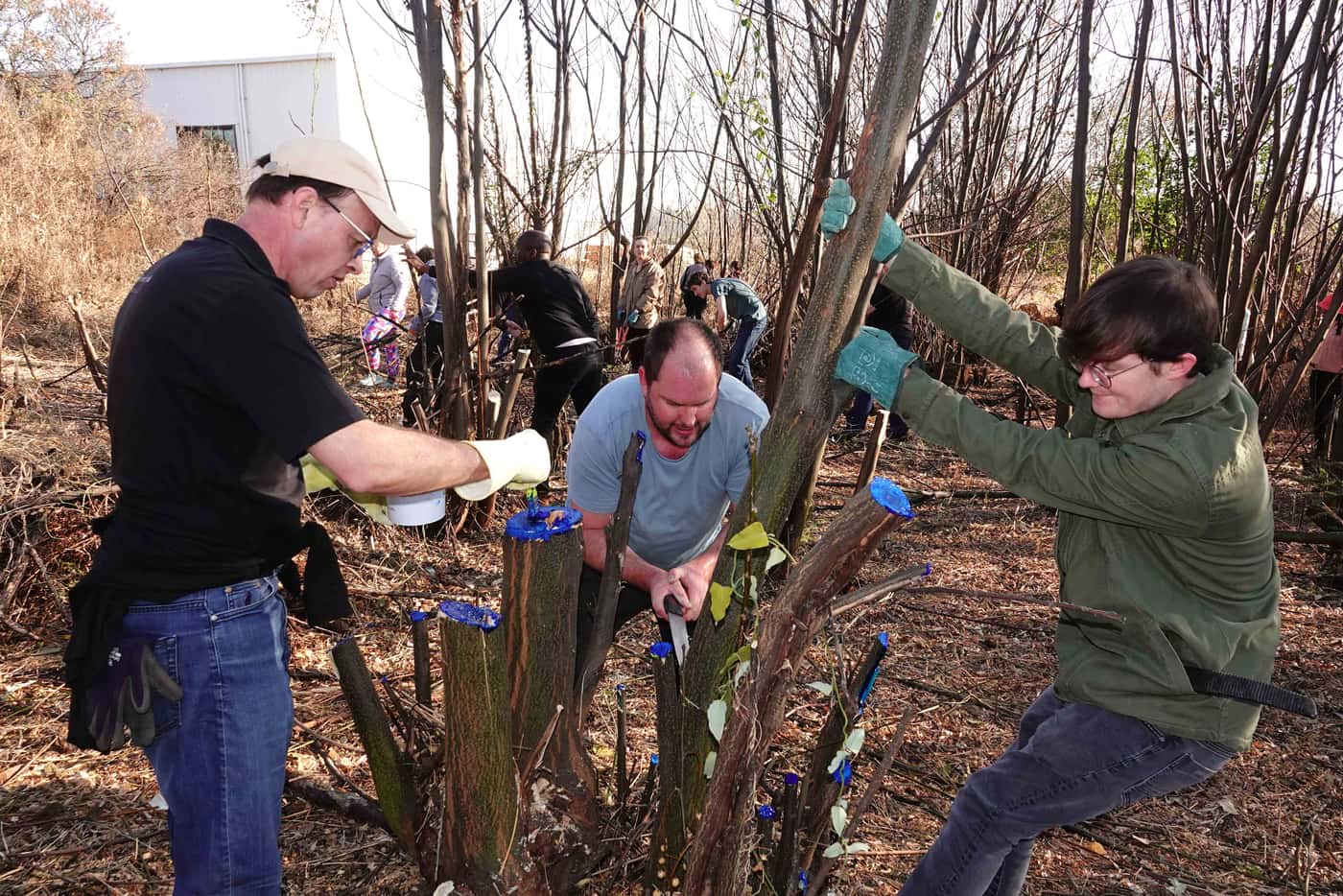 FABIans pitch in to clear invasive woody plants on Mandela Day