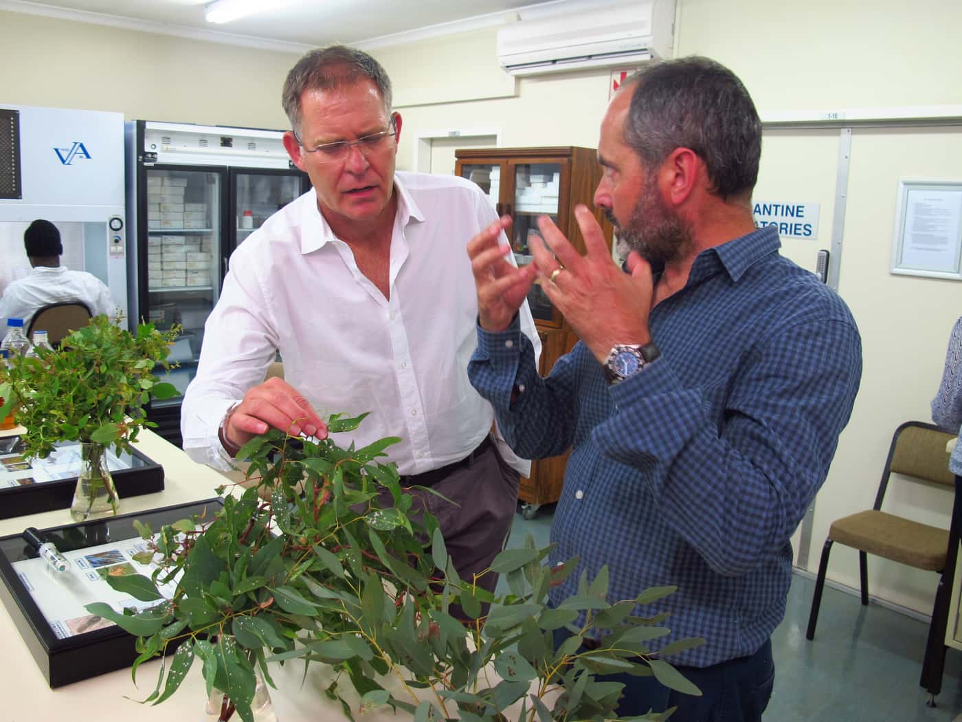 York Timbers CEO Visits FABI