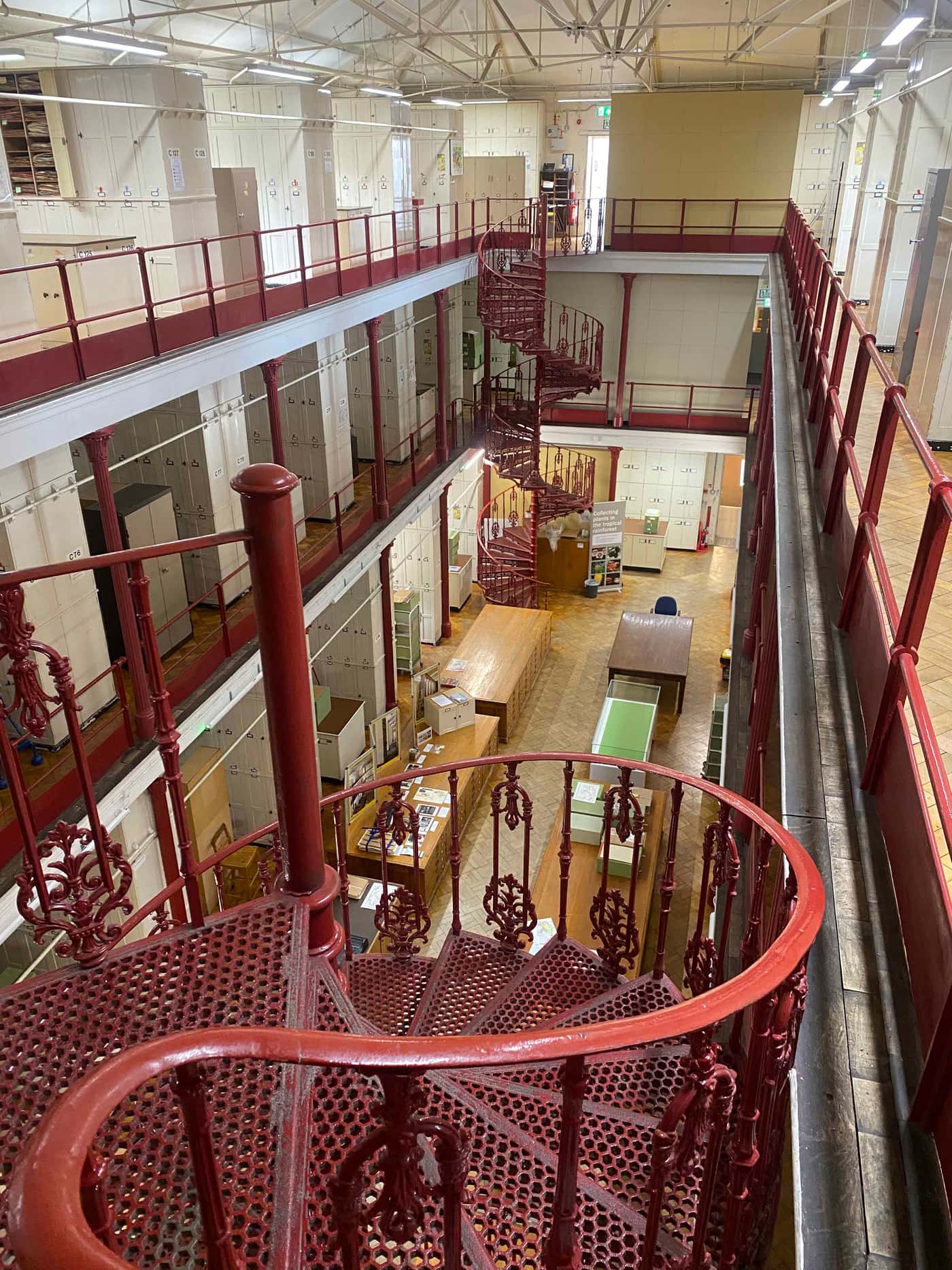 Back to the Future (1850s) – Rothamsted long term field trial and Kew Type specimens of <I>Greyia</I