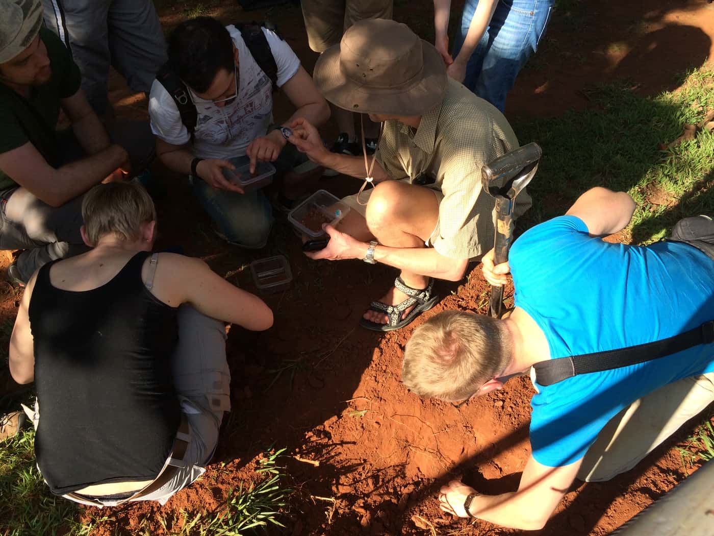 International research team on termite ecology and evolution visits FABI