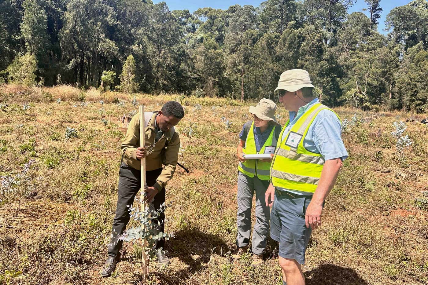 FABI and the ICFR combine expertise in Ethiopia
