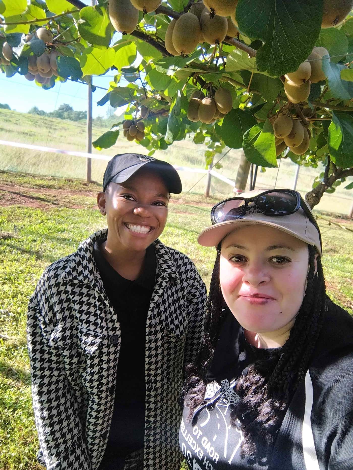 Its Kiwifruit harvesting time and the KPP team wraps up another season!