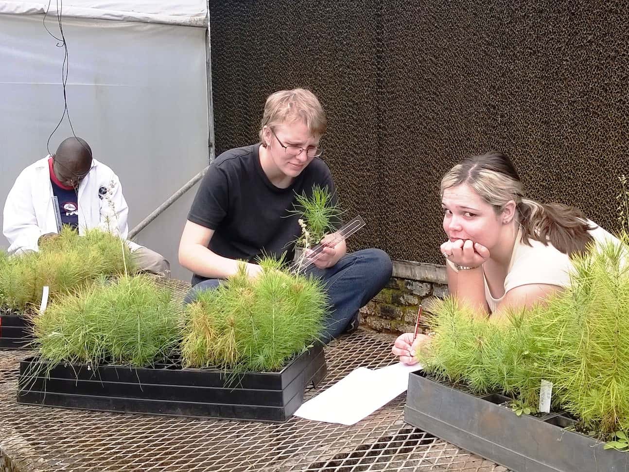 Another successful round of pine screening completed