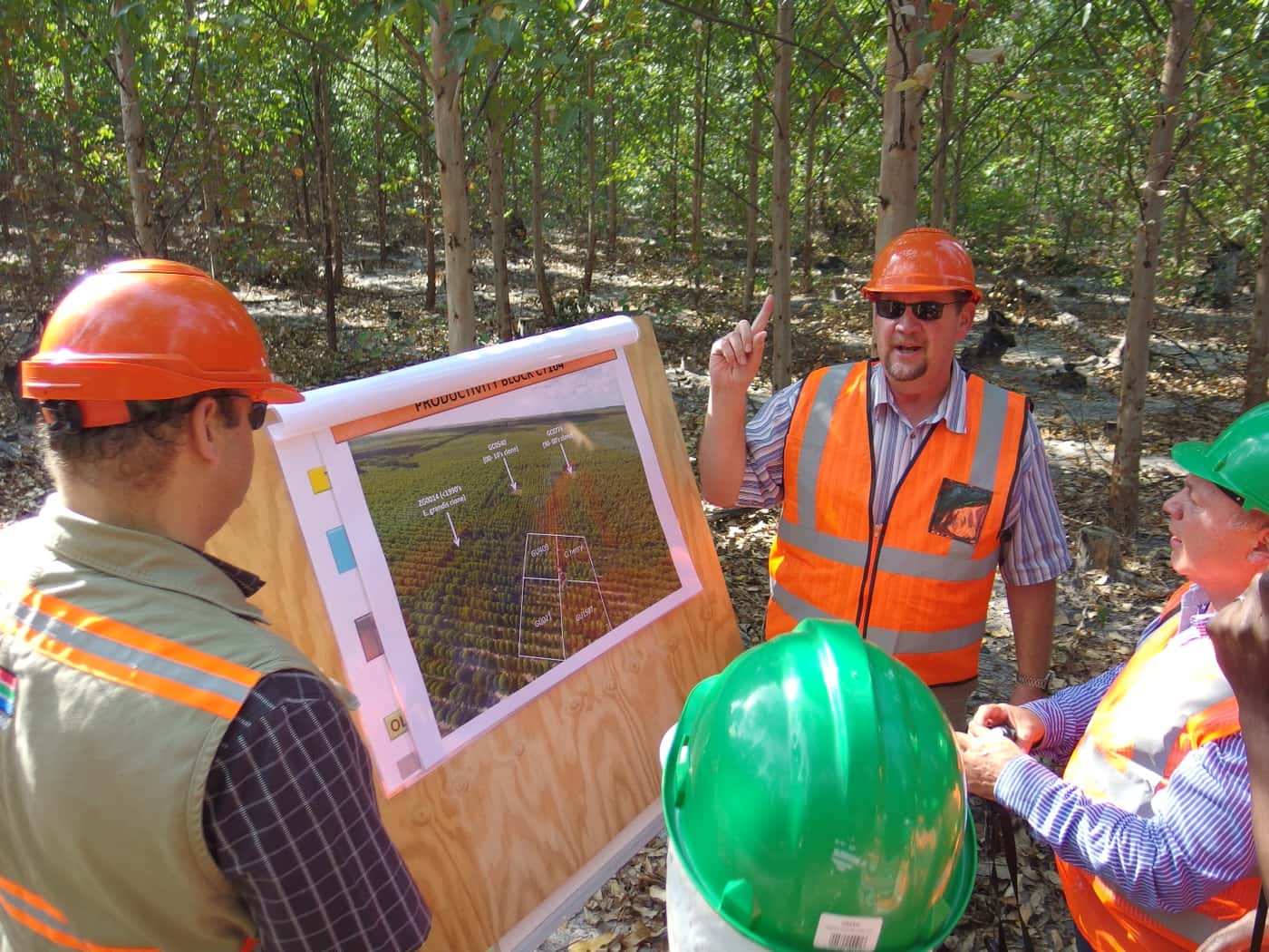 International guests of the TPCP visit local forestry companies and research institutions