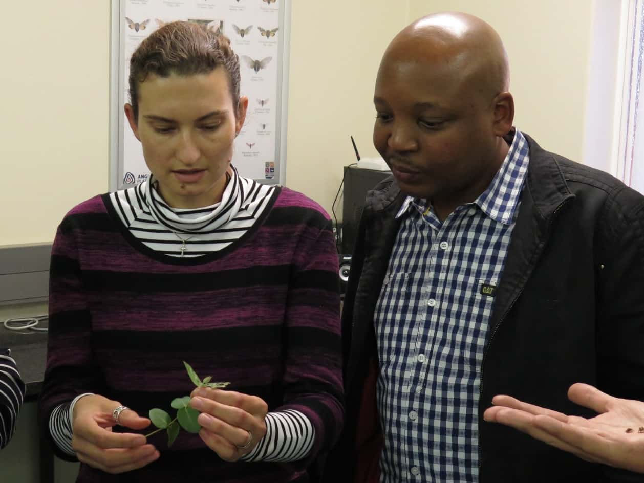 FABI welcomes DTI delegation