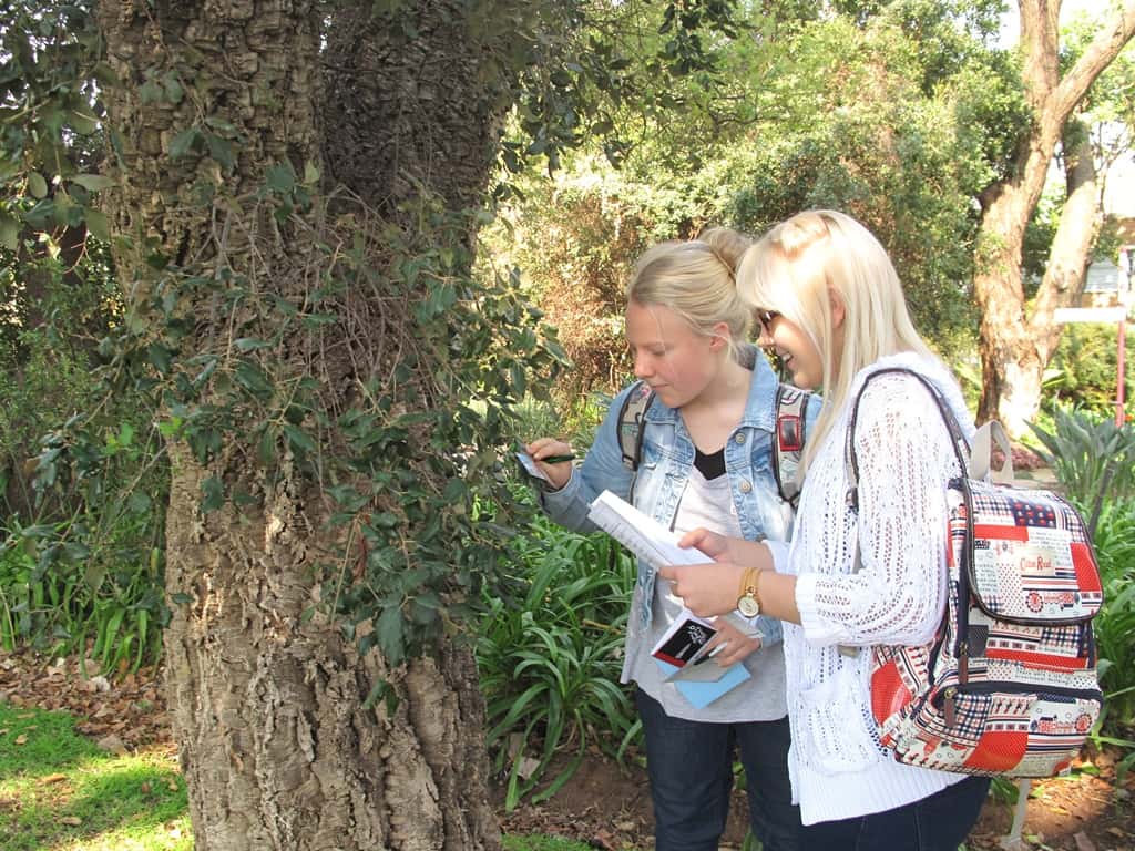 UP with Science introduces school children to hidden world of plant disease
