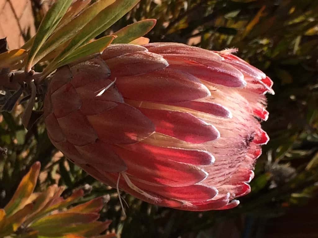 Goodbye winter, welcome spring!