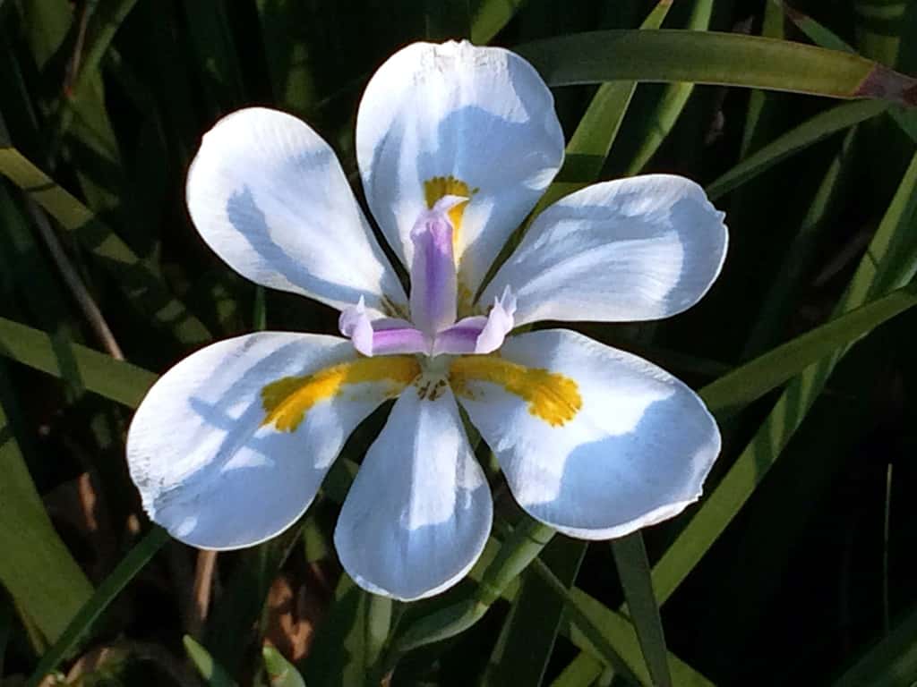 Goodbye winter, welcome spring!