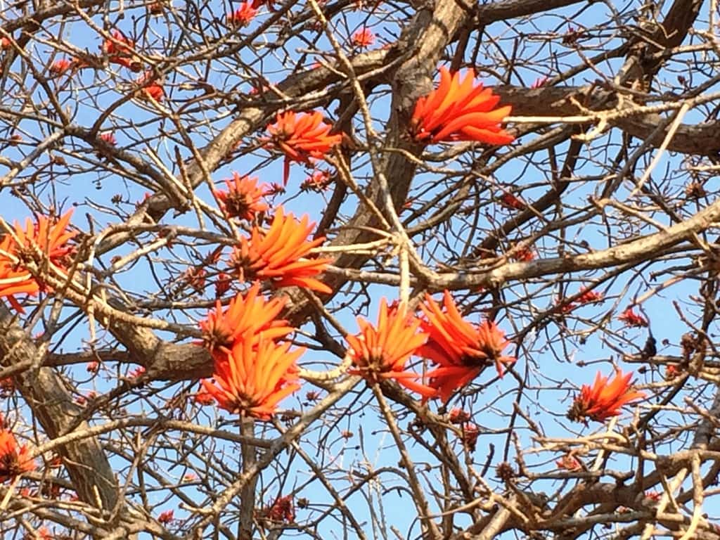 Goodbye winter, welcome spring!