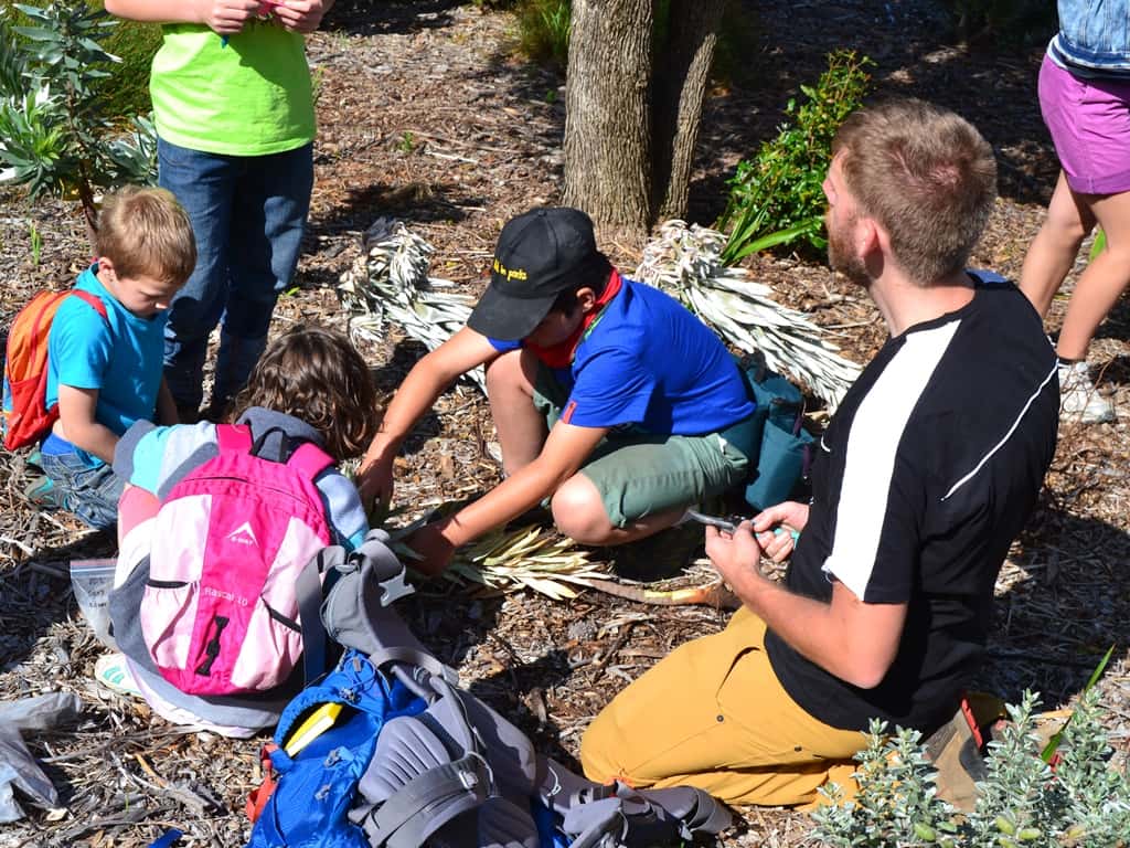 FABIan engages homeschool students in research project