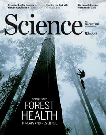 FABI publishes a record number of papers in 2015!