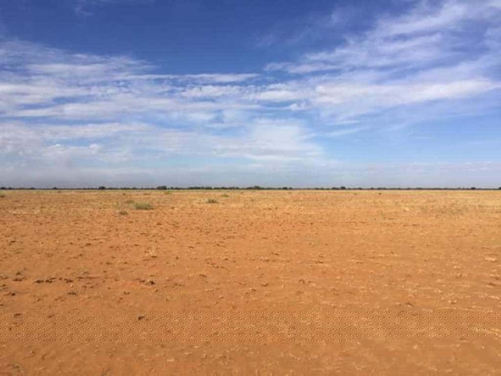 FABI embarks on a water collection drive in response to drought