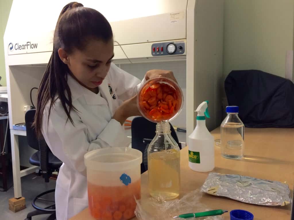 Real scientists in FABI start young