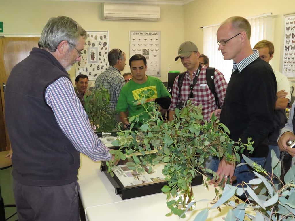 Argentinian tree growers visit FABI