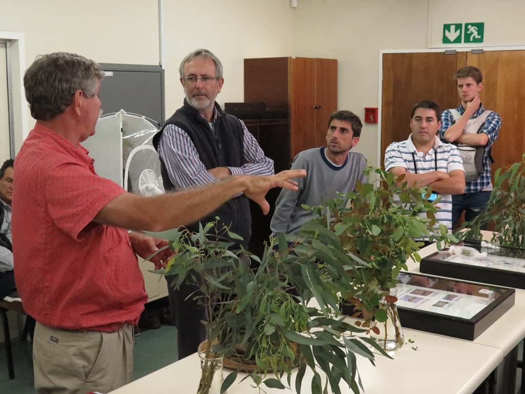 Argentinian tree growers visit FABI