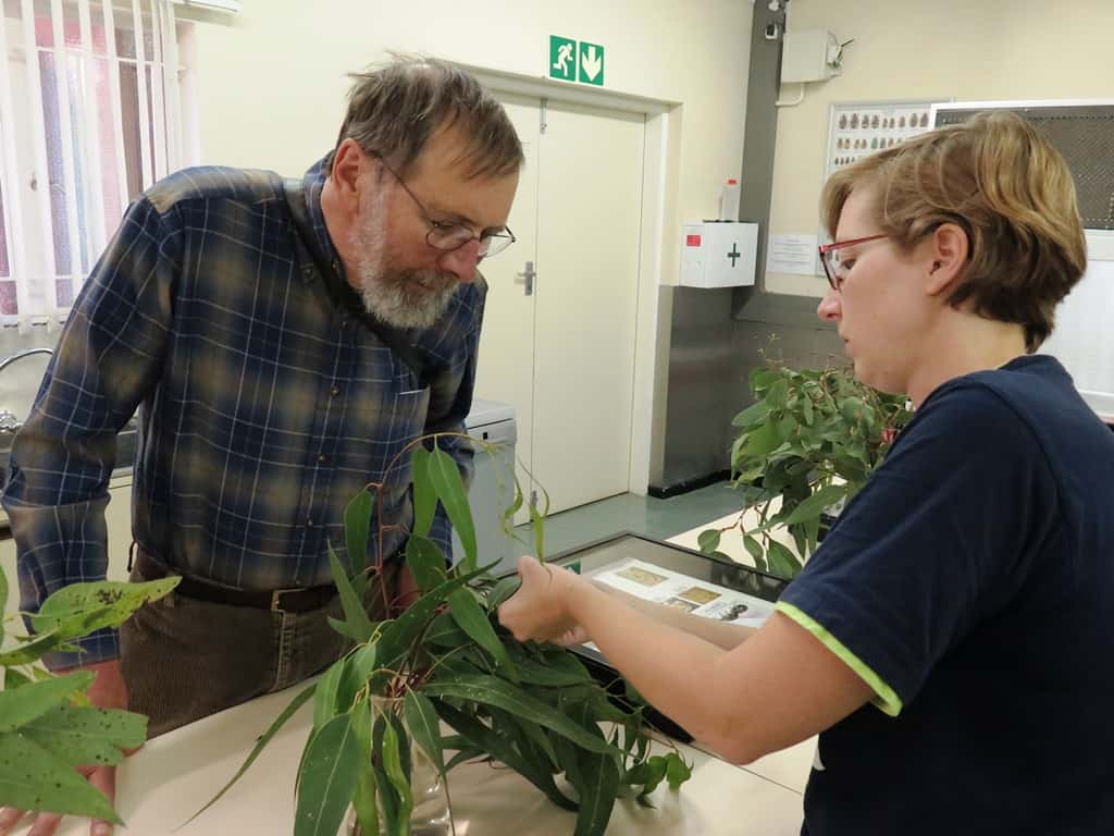 Prof. Everett Hansen visits FABI