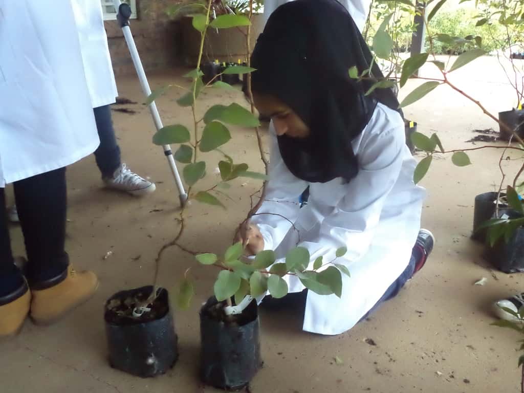 Future “plant doctors” represent the CTHB in UP with Science Winter Week