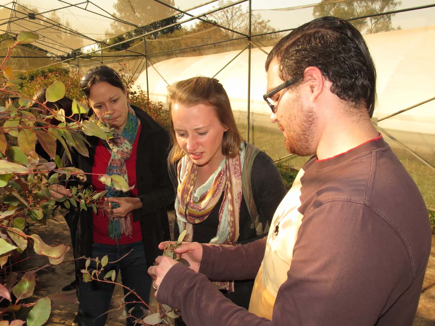 Visiting US student sparks debate on ethics of GMO research