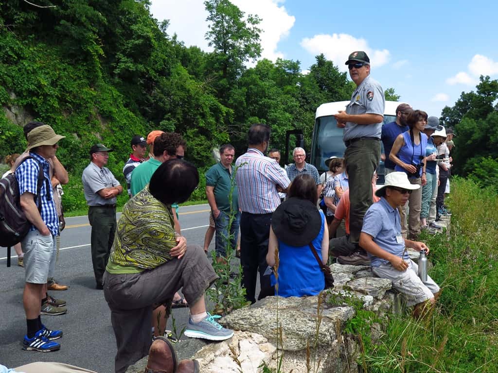 FABI scientists participate in IUFRO task force workshop on forest biological invasions