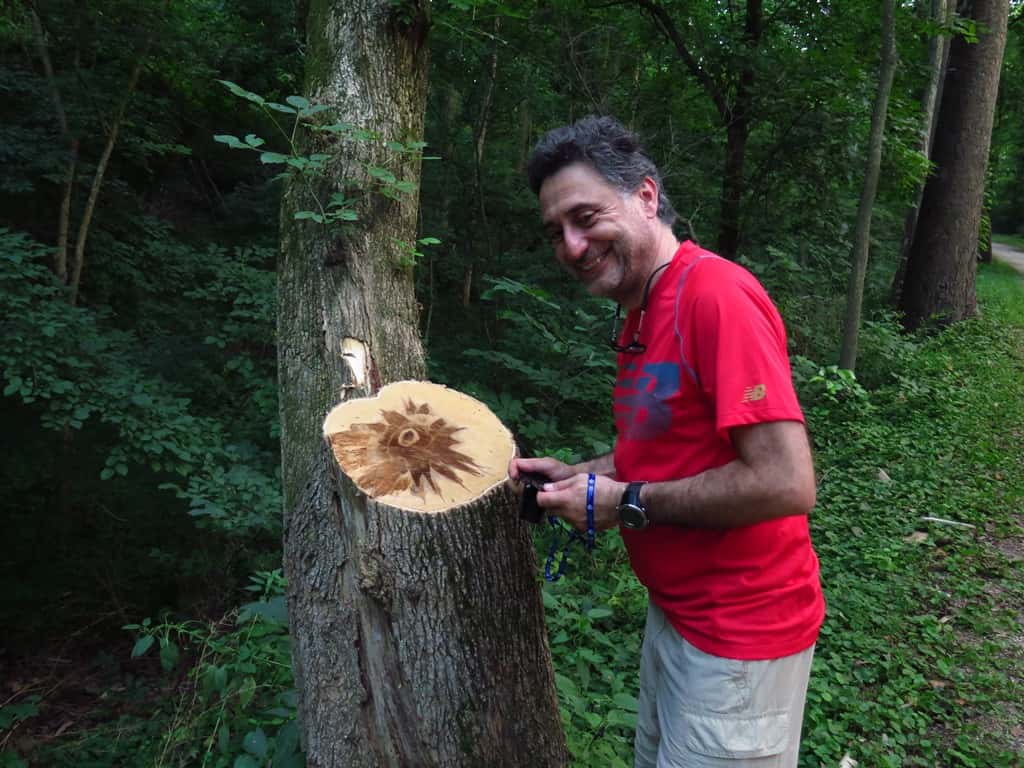FABI scientists participate in IUFRO task force workshop on forest biological invasions