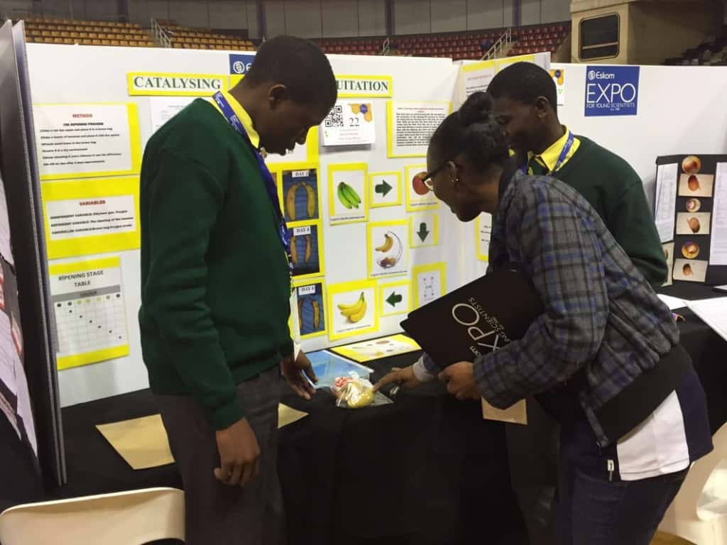 FABIans judge at the 2016 Northern Gauteng Senior Science Fair